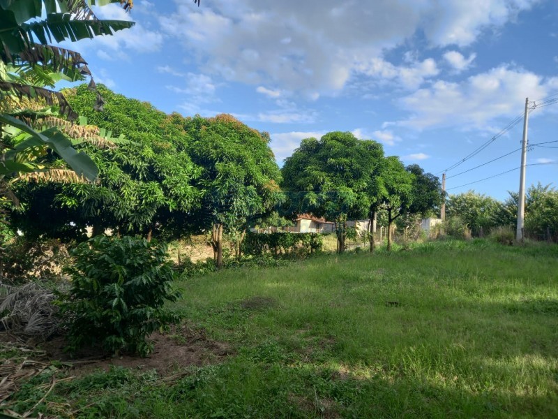 OPB Imóveis | Imobiliária em Ribeirão Preto | SP - Rancho - RURAL - Serrana