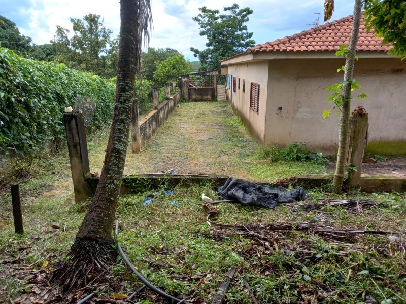 OPB Imóveis | Imobiliária em Ribeirão Preto | SP - Rancho - RURAL - Serrana