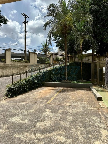 Apartamento - Jardim Palma Travassos - Ribeirão Preto