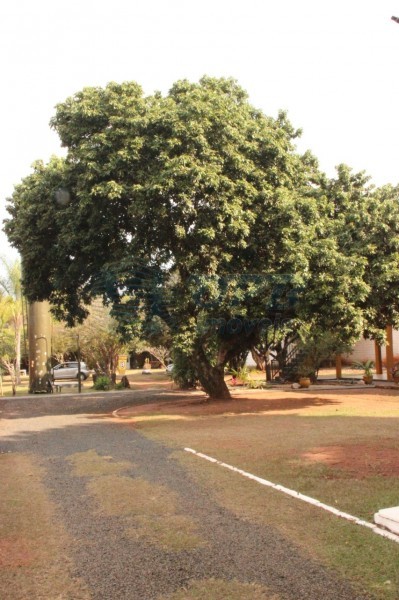 Chácara para alugar - Foto 5