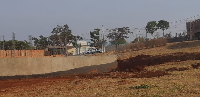 Terreno - Bonfim Paulista - Ribeirão Preto