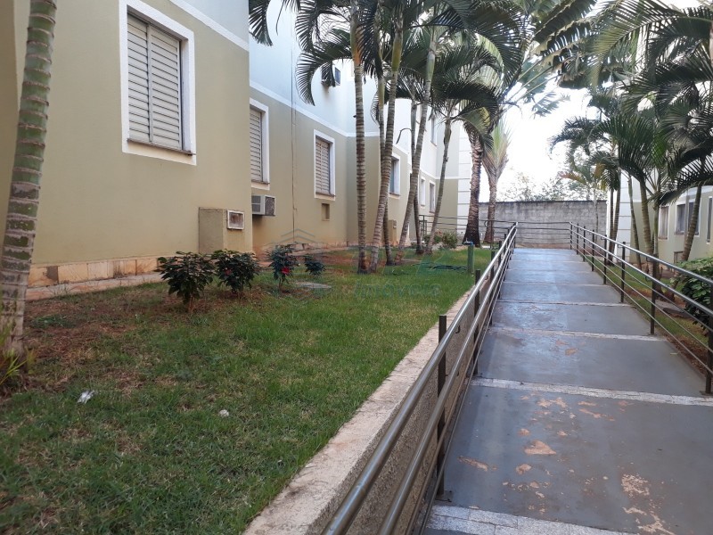 Apartamento - Ribeirânia - Ribeirão Preto