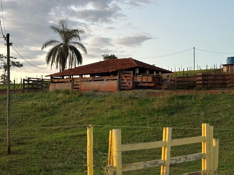 OPB Imóveis | Imobiliária em Ribeirão Preto | SP - Sítio - RURAL - Cajuru