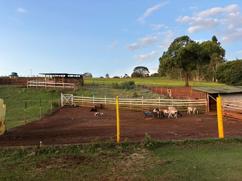 OPB Imóveis | Imobiliária em Ribeirão Preto | SP - Sítio - RURAL - Cajuru