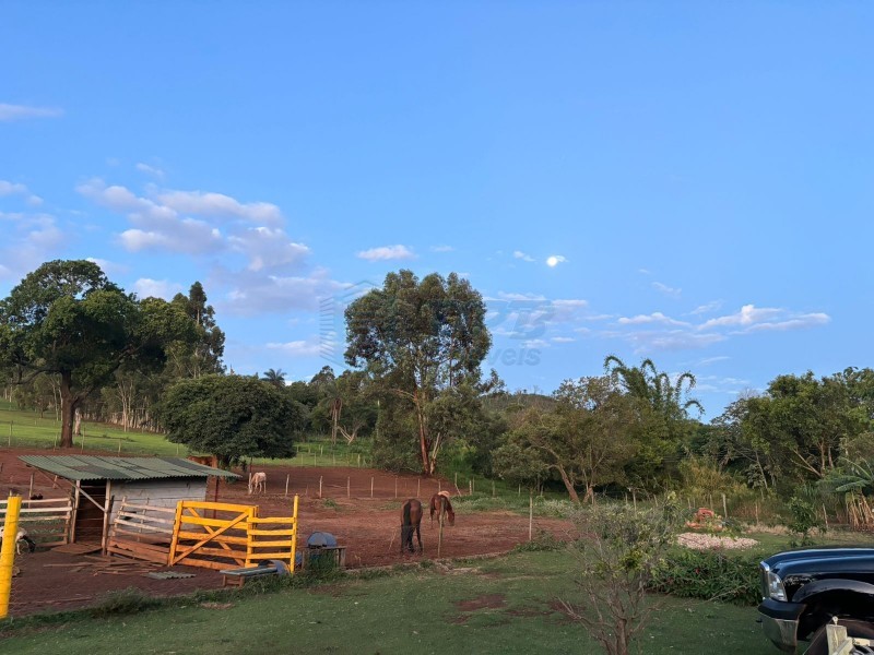 OPB Imóveis | Imobiliária em Ribeirão Preto | SP - Sítio - RURAL - Cajuru