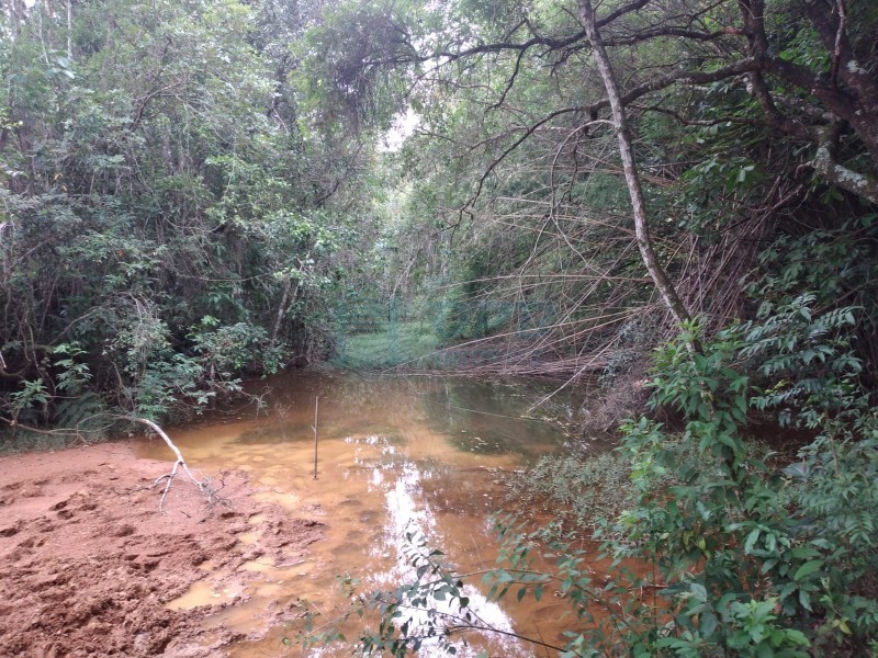 Fazenda - RURAL - PIUMHI