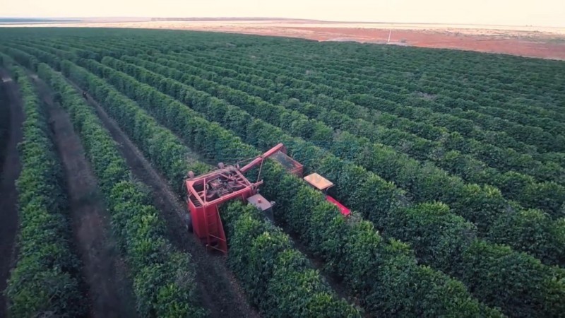 OPB Imóveis | Imobiliária em Ribeirão Preto | SP - Fazenda - RURAL - PIUMHI