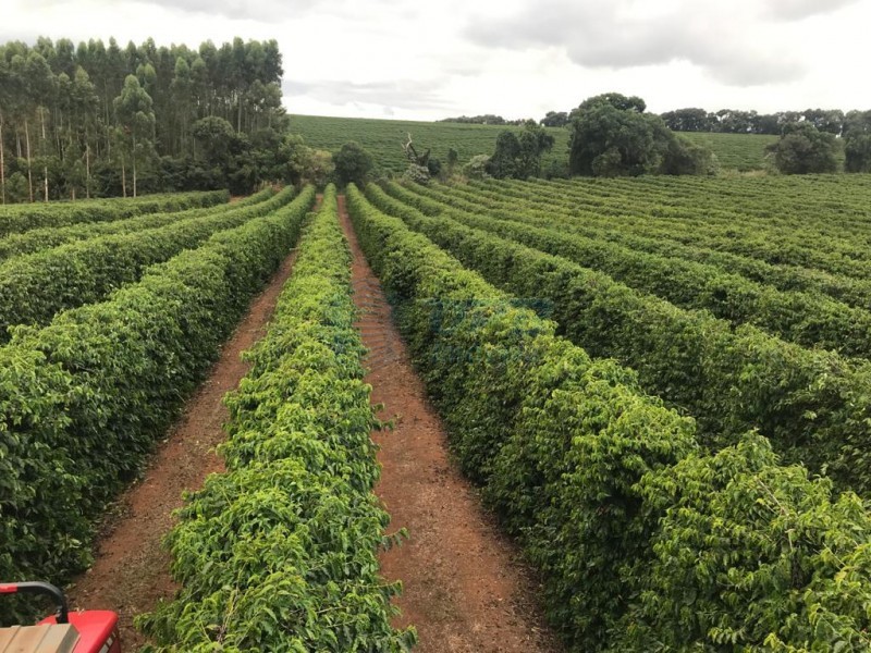 OPB Imóveis | Imobiliária em Ribeirão Preto | SP - Fazenda - RURAL - PIUMHI