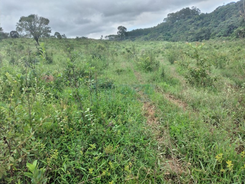 OPB Imóveis | Imobiliária em Ribeirão Preto | SP - Fazenda - RURAL - PIUMHI