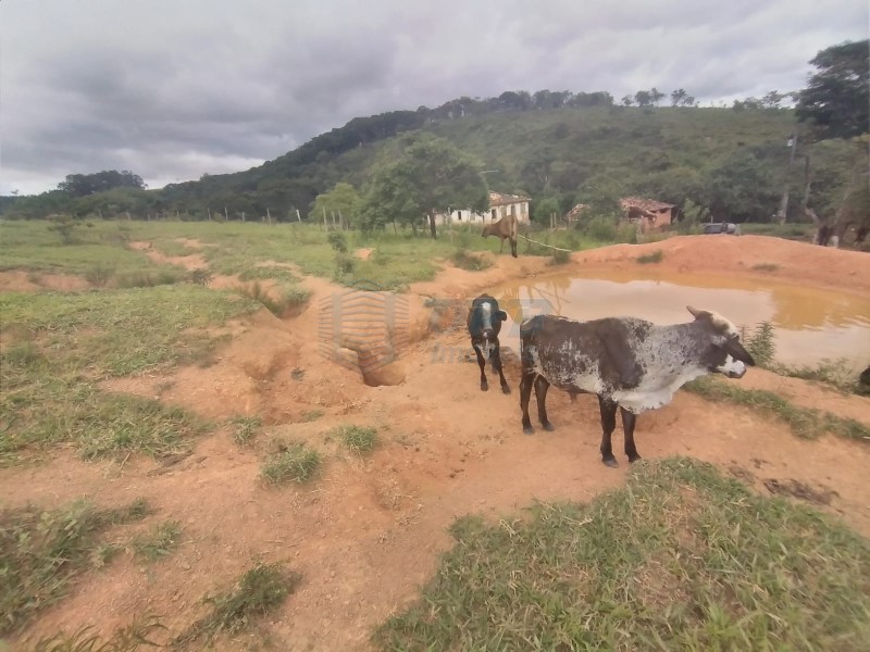 OPB Imóveis | Imobiliária em Ribeirão Preto | SP - Fazenda - RURAL - PIUMHI