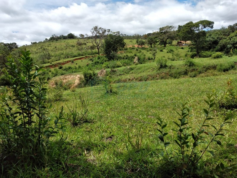 OPB Imóveis | Imobiliária em Ribeirão Preto | SP - Fazenda - RURAL - PIUMHI