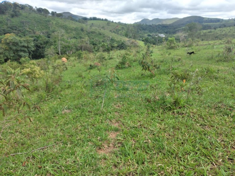 OPB Imóveis | Imobiliária em Ribeirão Preto | SP - Fazenda - RURAL - PIUMHI