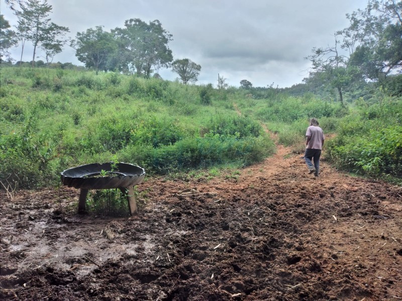 OPB Imóveis | Imobiliária em Ribeirão Preto | SP - Fazenda - RURAL - PIUMHI