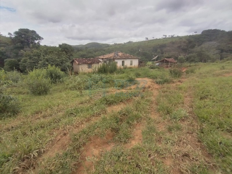 OPB Imóveis | Imobiliária em Ribeirão Preto | SP - Fazenda - RURAL - PIUMHI