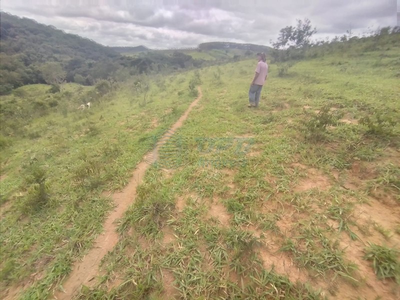 OPB Imóveis | Imobiliária em Ribeirão Preto | SP - Fazenda - RURAL - PIUMHI