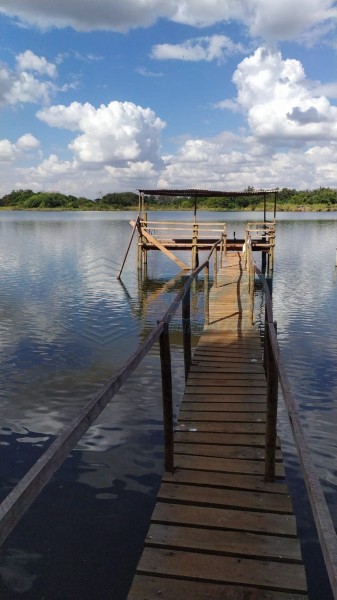 OPB Imóveis | Imobiliária em Ribeirão Preto | SP - Chácara - RURAL - Morro Agudo