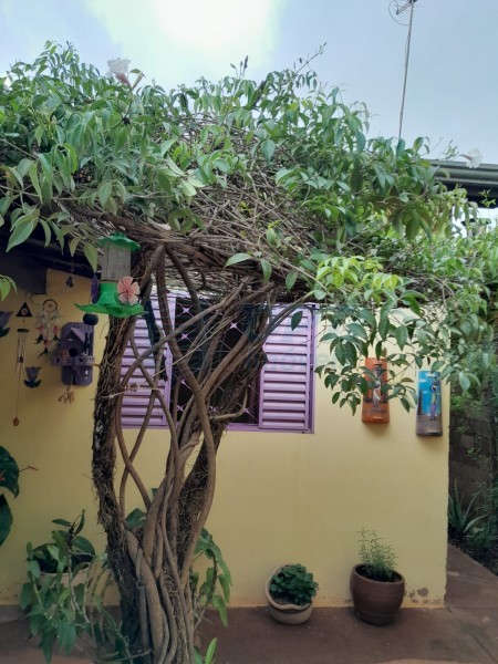 Casa - PARQUE DOS SERVIDORES - Ribeirão Preto