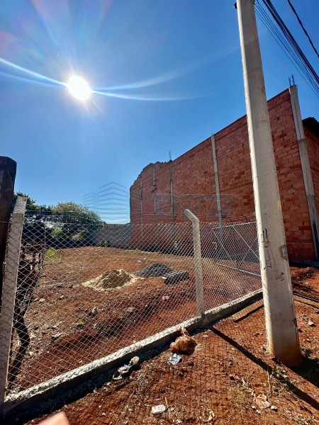 Terreno - Vila Elisa - Ribeirão Preto