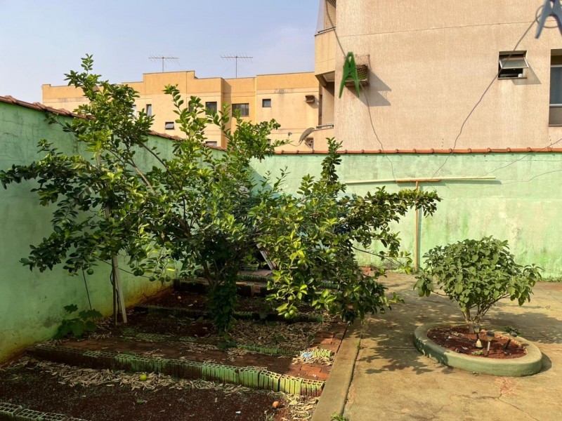 OPB Imóveis | Imobiliária em Ribeirão Preto | SP - Casa - Jardim Irajá - Ribeirão Preto