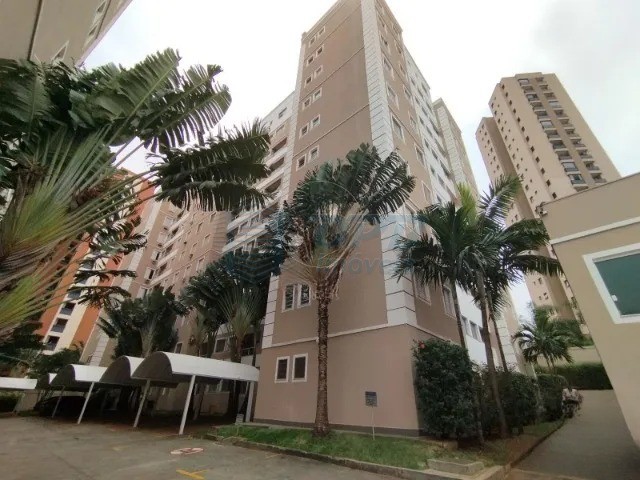 Apartamento - Jardim Palma Travassos - Ribeirão Preto