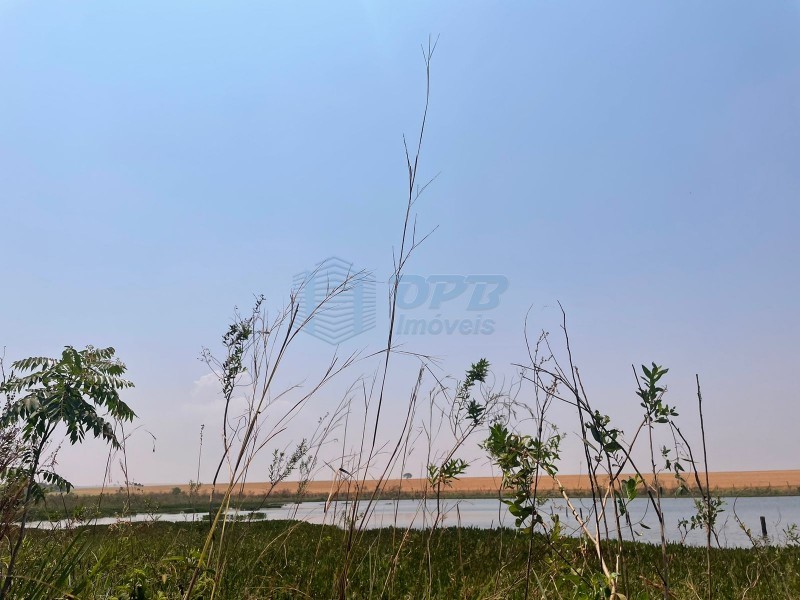 OPB Imóveis | Imobiliária em Ribeirão Preto | SP - Fazenda - RURAL - Morro Agudo