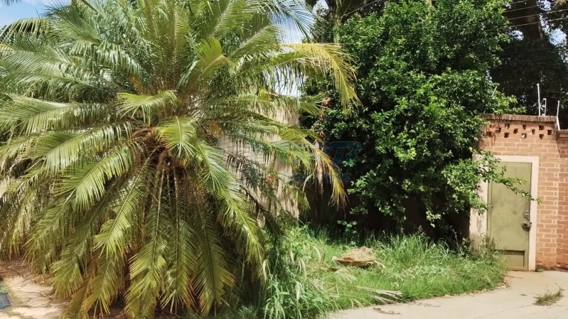 OPB Imóveis | Imobiliária em Ribeirão Preto | SP - Edicula - Parque dos Lagos - Ribeirão Preto