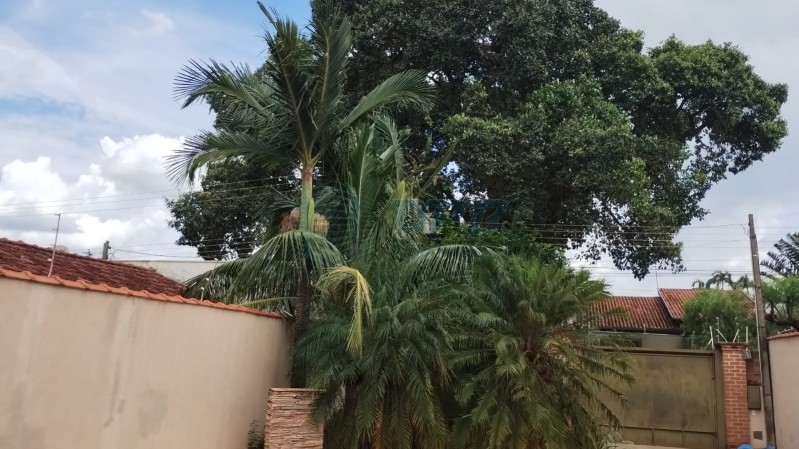 OPB Imóveis | Imobiliária em Ribeirão Preto | SP - Edicula - Parque dos Lagos - Ribeirão Preto