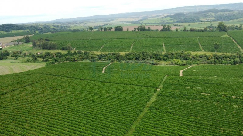 OPB Imóveis | Imobiliária em Ribeirão Preto | SP - Fazenda - RURAL - LUMINARIAS