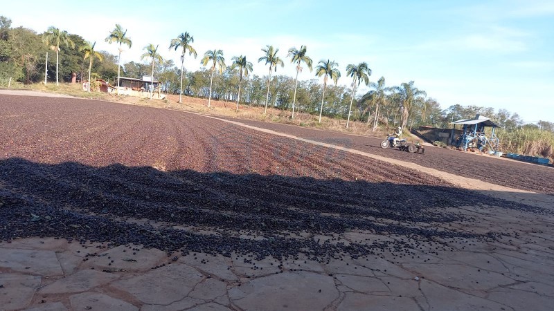 OPB Imóveis | Imobiliária em Ribeirão Preto | SP - Fazenda - RURAL - LUMINARIAS