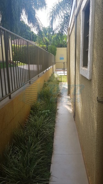 OPB Imóveis | Imobiliária em Ribeirão Preto | SP - Apartamento - City Ribeirão - Ribeirão Preto