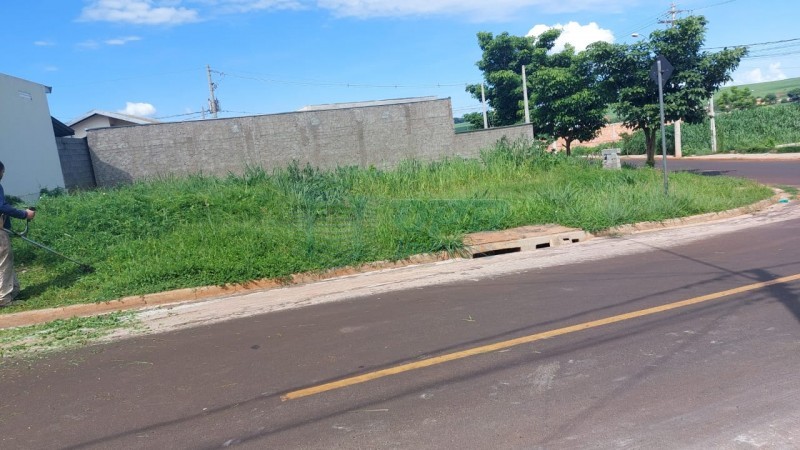OPB Imóveis | Imobiliária em Ribeirão Preto | SP - Terreno - LOTEAMENTO MACAUBA - Ribeirão Preto