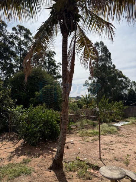 OPB Imóveis | Imobiliária em Ribeirão Preto | SP - Chácara - Centro - SANTA ROSA DE VITERBO