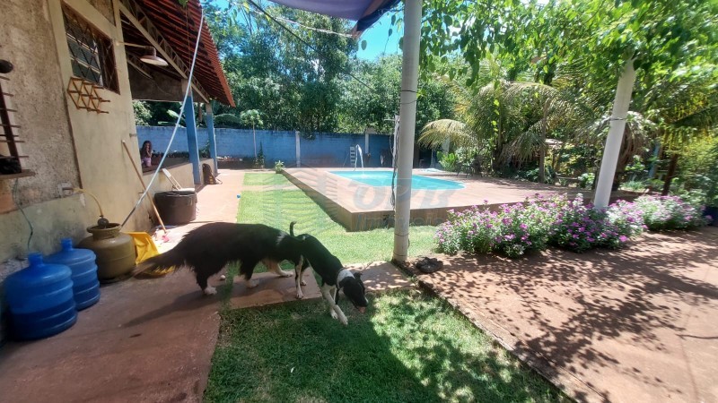 OPB Imóveis | Imobiliária em Ribeirão Preto | SP - Rancho - RURAL - JURUCE