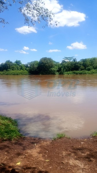 OPB Imóveis | Imobiliária em Ribeirão Preto | SP - Rancho - RURAL - JURUCE