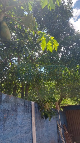 OPB Imóveis | Imobiliária em Ribeirão Preto | SP - Rancho - RURAL - JURUCE