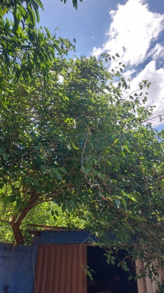 OPB Imóveis | Imobiliária em Ribeirão Preto | SP - Rancho - RURAL - JURUCE