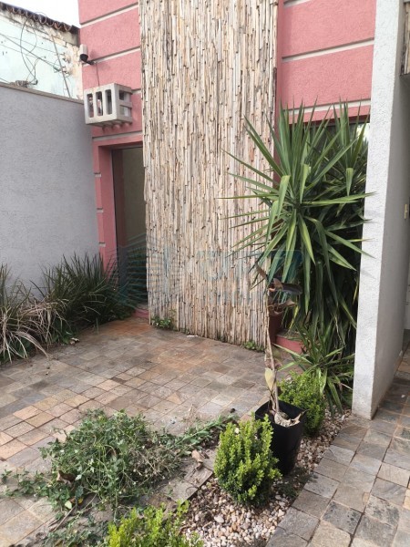 OPB Imóveis | Imobiliária em Ribeirão Preto | SP - Casa - Campos Eliseos - Ribeirão Preto