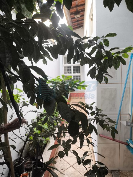 OPB Imóveis | Imobiliária em Ribeirão Preto | SP - Casa - Campos Eliseos - Ribeirão Preto