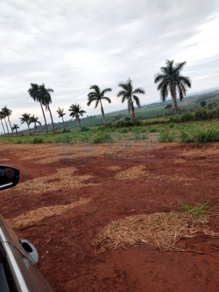 OPB Imóveis | Imobiliária em Ribeirão Preto | SP - Fazenda - RURAL - MOCOCA