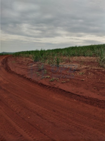 OPB Imóveis | Imobiliária em Ribeirão Preto | SP - Fazenda - RURAL - MOCOCA