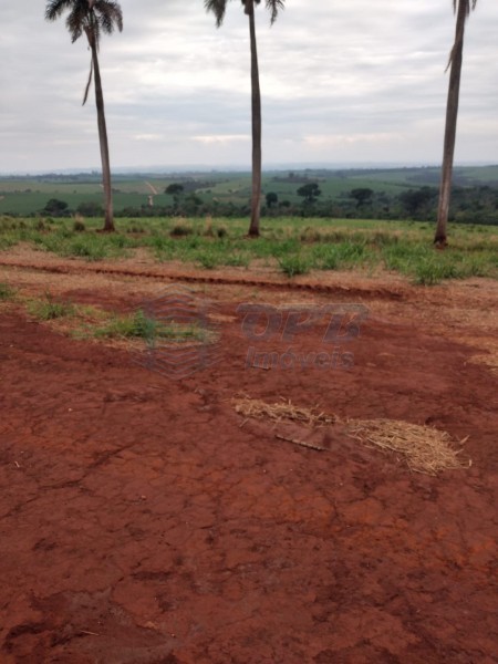 OPB Imóveis | Imobiliária em Ribeirão Preto | SP - Fazenda - RURAL - MOCOCA