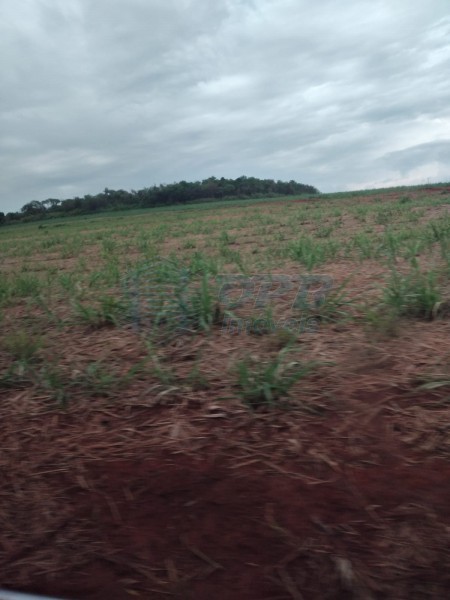 OPB Imóveis | Imobiliária em Ribeirão Preto | SP - Fazenda - RURAL - MOCOCA