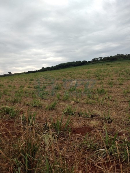 OPB Imóveis | Imobiliária em Ribeirão Preto | SP - Fazenda - RURAL - MOCOCA