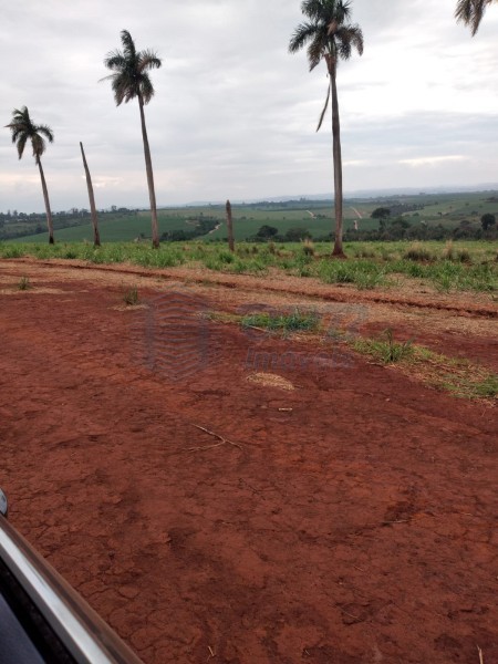 OPB Imóveis | Imobiliária em Ribeirão Preto | SP - Fazenda - RURAL - MOCOCA