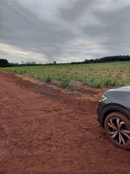 OPB Imóveis | Imobiliária em Ribeirão Preto | SP - Fazenda - RURAL - MOCOCA