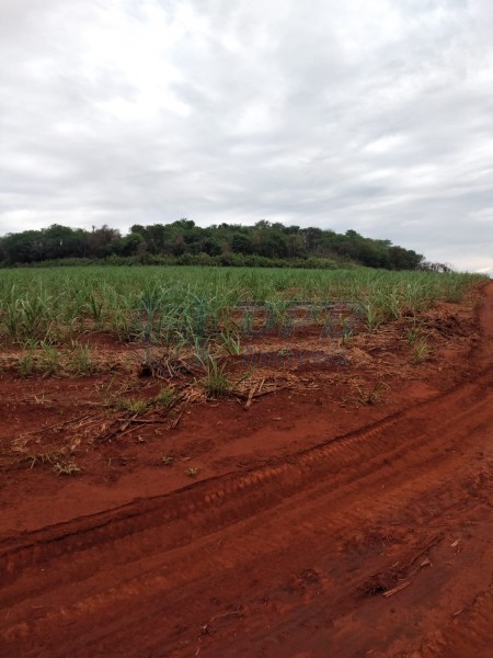 OPB Imóveis | Imobiliária em Ribeirão Preto | SP - Fazenda - RURAL - MOCOCA