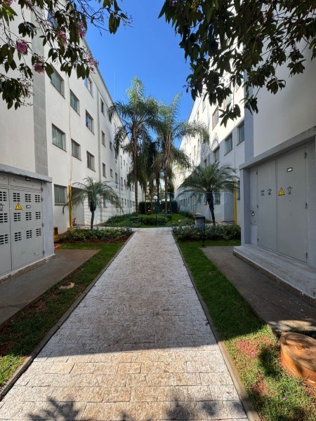 OPB Imóveis | Imobiliária em Ribeirão Preto | SP - Apartamento - Jardim das Palmeiras - Ribeirão Preto