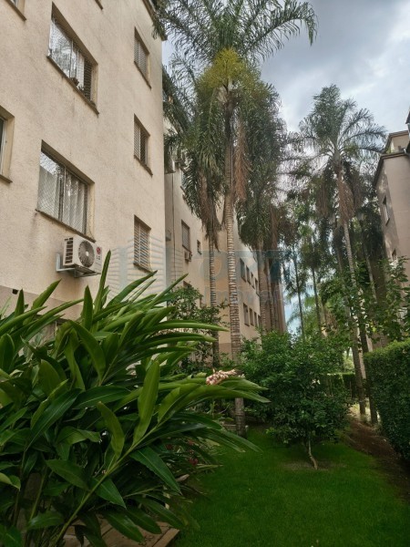 OPB Imóveis | Imobiliária em Ribeirão Preto | SP - Apartamento - Lagoinha - Ribeirão Preto