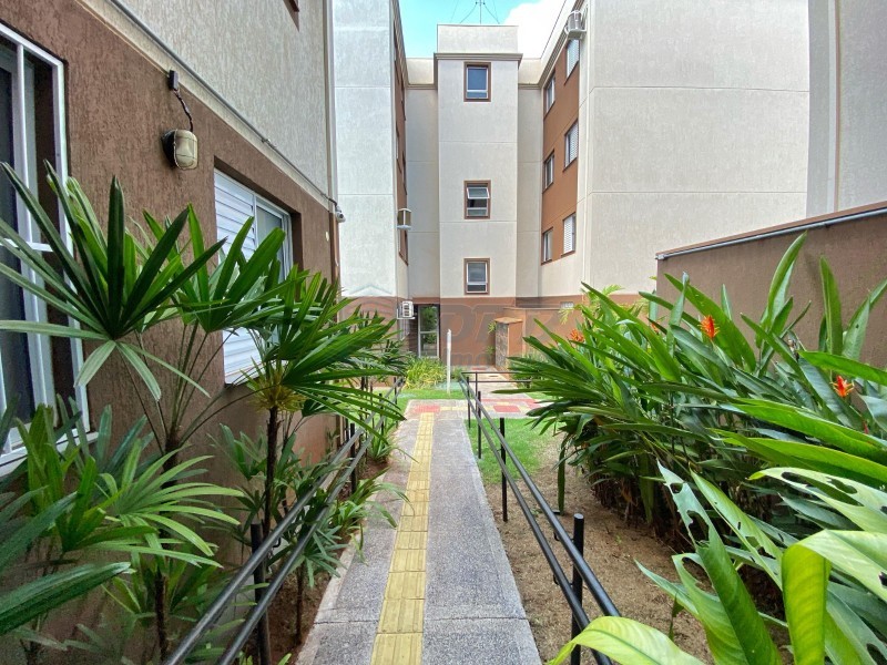 OPB Imóveis | Imobiliária em Ribeirão Preto | SP - Apartamento - Recreio das Acacias - Ribeirão Preto