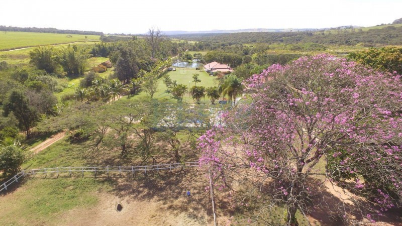 OPB Imóveis | Imobiliária em Ribeirão Preto | SP - Área - RURAL - SAO SIMAO